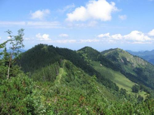 Landgasthof Kirchenwirt Grossraming エクステリア 写真