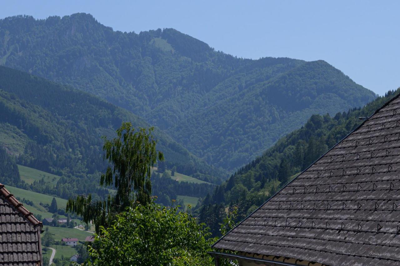 Landgasthof Kirchenwirt Grossraming エクステリア 写真